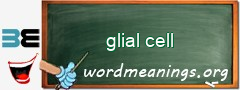 WordMeaning blackboard for glial cell